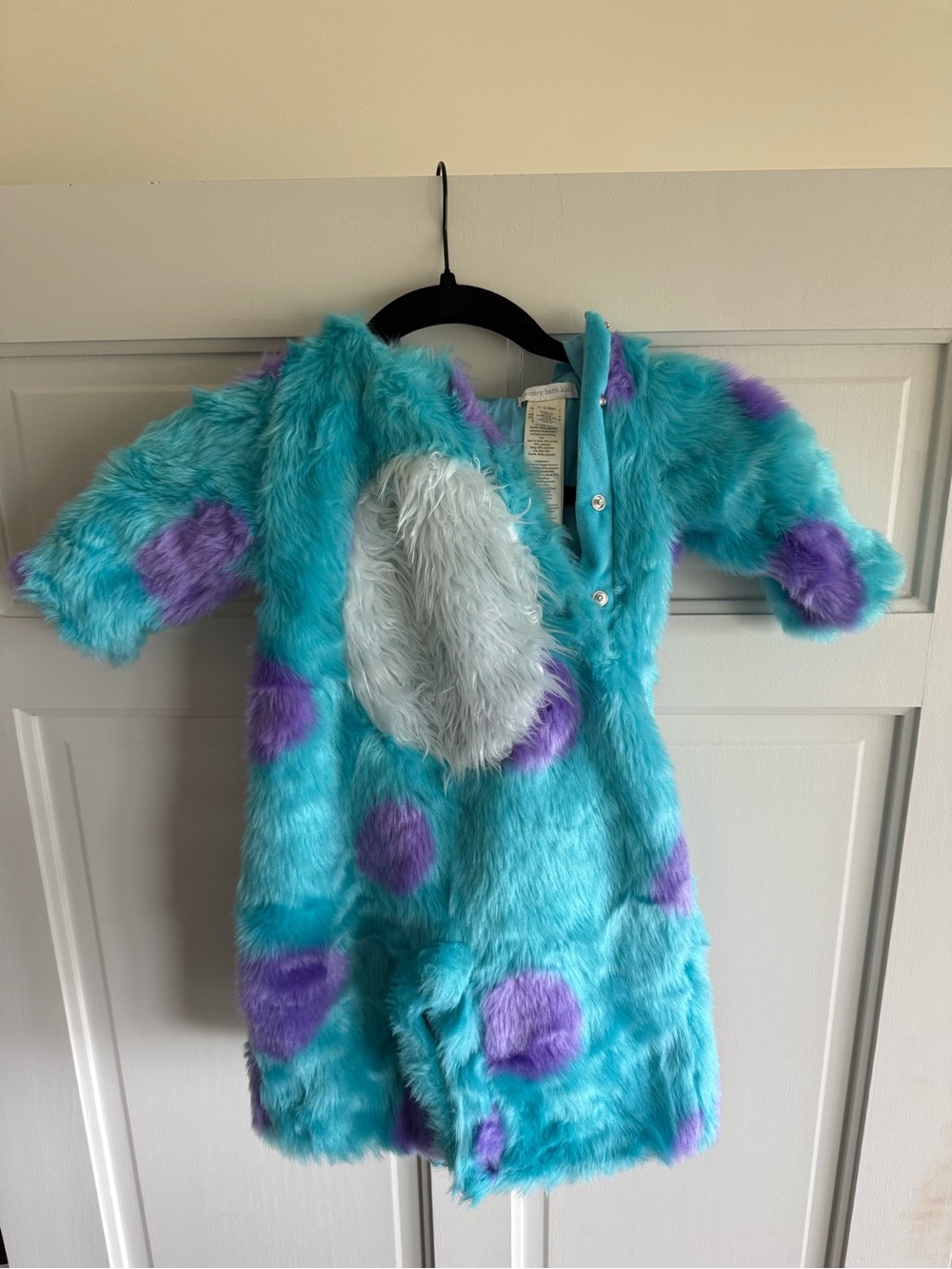 Pottery Barn Kids Monsters Inc Sully Costume
